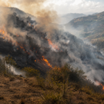 Cundinamarca fortalece acciones para garantizar abastecimiento de agua ante retos climáticos
